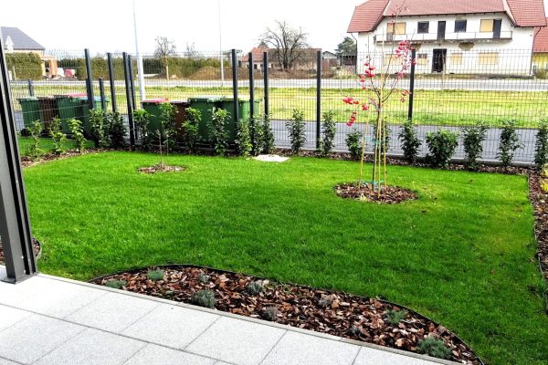 Kompozicija okrasnih gred s trajnicami in grmovnicami tri mesece po prenovi atrijskega vrta v Morju pri Framu